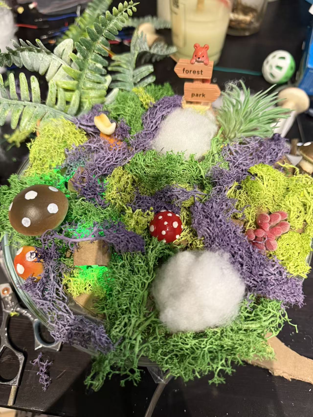 Lorem ipsum dolor sit amet, consectetur adipiscing elit